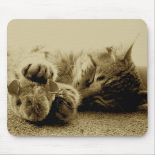 Mousepad Gato e rato