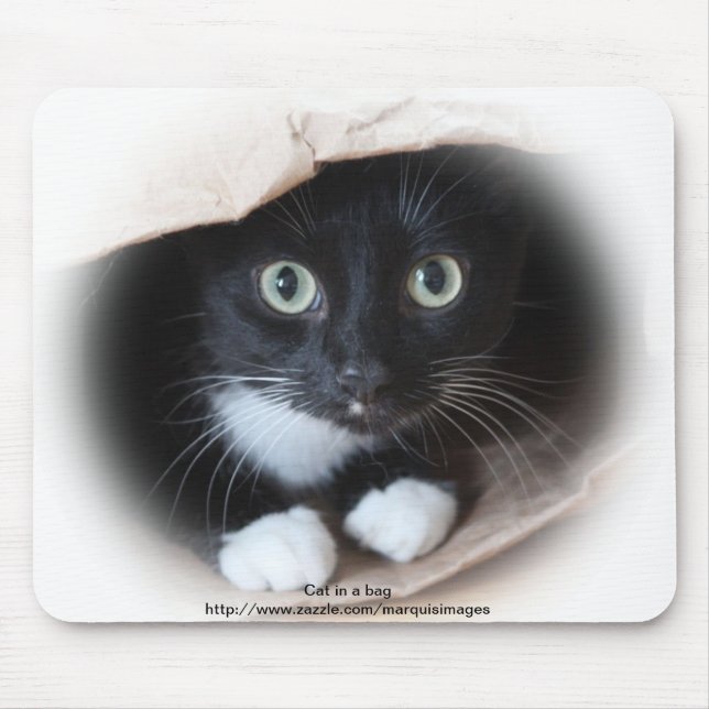 Mousepad Gato em um saco (Frente)