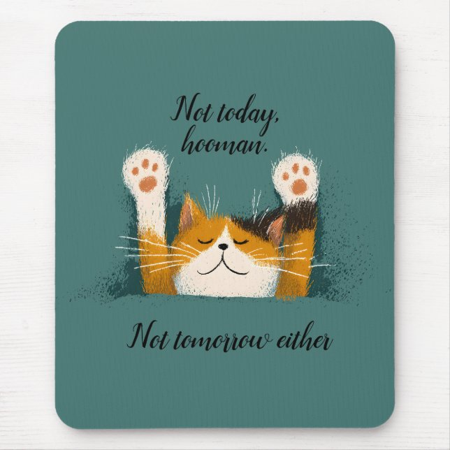 Mousepad Gato Engraçado e Fofo Dormindo (Frente)