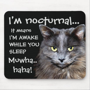 Mousepad Gato Engraçado é Mau