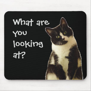 Mousepad Gato Engraçado "O que você está olhando!"