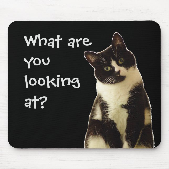 Mousepad Gato Engraçado "O que você está olhando!" (Frente)