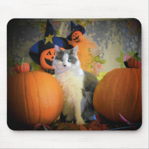 Mousepad Gato entre abóboras