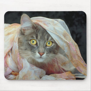 Mousepad Gato envolvido no pano