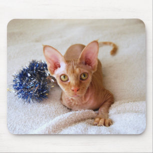 Mousepad Gato Esfingx com Bloco de Mão Azul