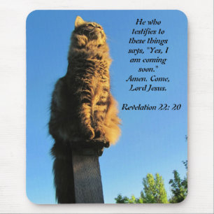Mousepad Gato, esperando por Jesus
