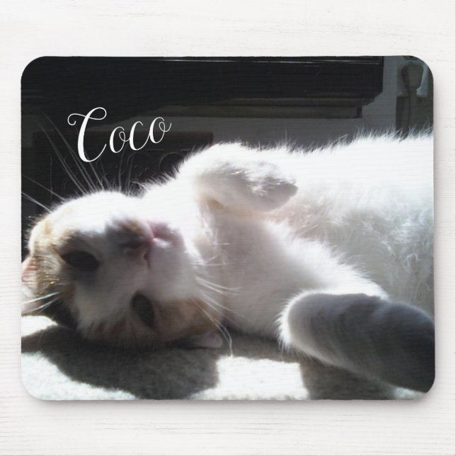 Mousepad Gato Felino Pad! (Frente)