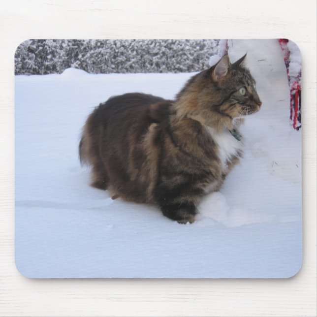 Mousepad gato florestal norueguês na neve (Frente)