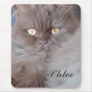 Mousepad Gato fofinho