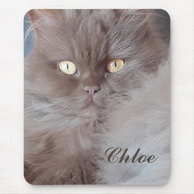 Mousepad Gato fofinho (Frente)