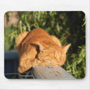 Mousepad gato, gato vermelho, animal de estimação