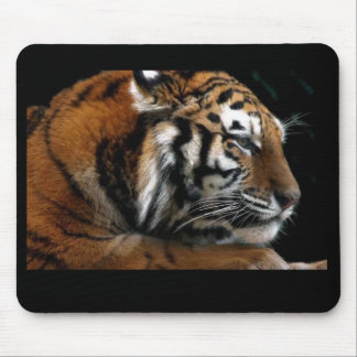 Mousepad Gato grande