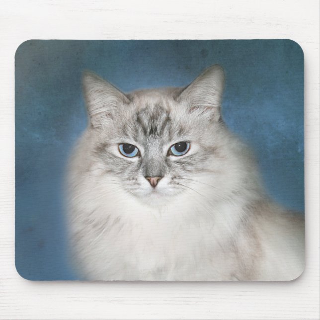 Mousepad Gato Himalaia do ponto azul (Frente)