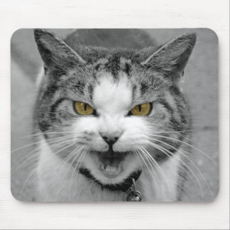 Mousepad Gato irritado