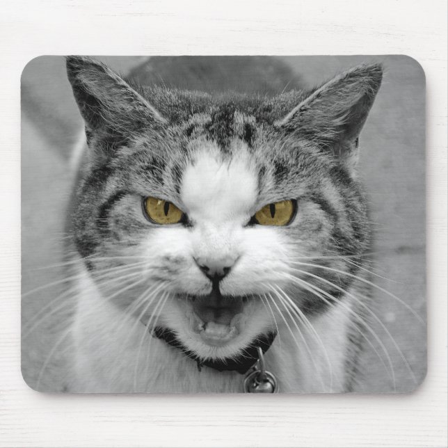 Mousepad Gato irritado (Frente)