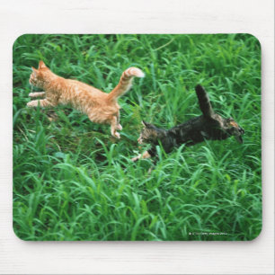 Mousepad Gato japonês 3