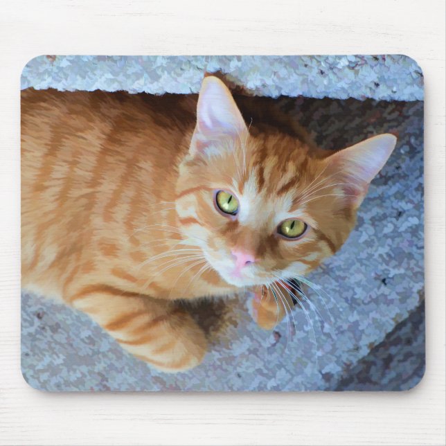 Mousepad Gato Laranja De Olhos Verdes Bonitos (Frente)