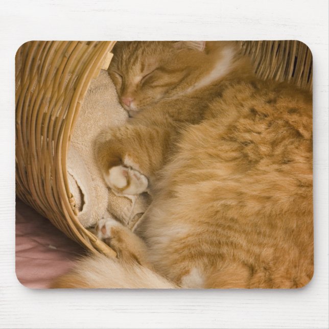 Mousepad Gato laranja dormindo na cesta (Frente)