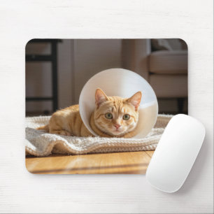 Mousepad Gato Laranja Vestindo um Cone da Vergonha