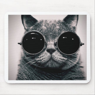 Mousepad gato legal!