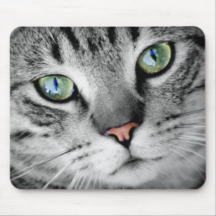 Mousepad Gato Listrado Cinza Olhos Verdes Close Up