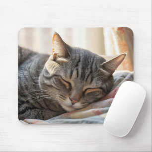 Mousepad Gato Listrado Dormindo Sobre uma Velha Colcha
