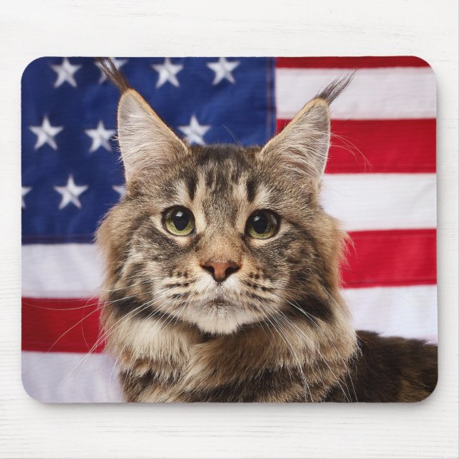 Mousepad Gato Maine Coon Com Bandeira Americana (Frente)