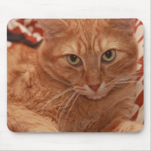Mousepad Gato malhado alaranjado
