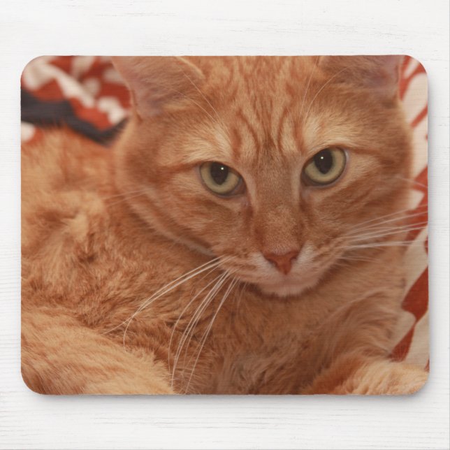 Mousepad Gato malhado alaranjado (Frente)