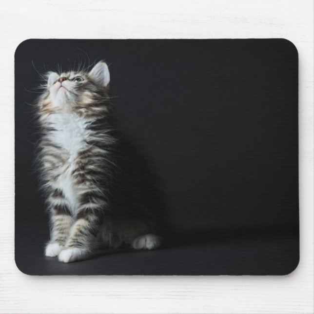 Mousepad Gato malhado alto (Frente)