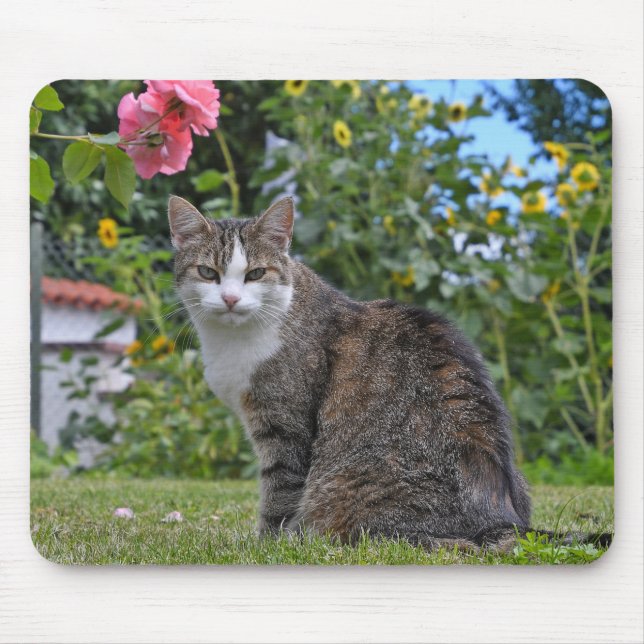 Mousepad gato malhado no jardim (Frente)