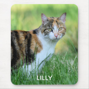 Mousepad Gato marrom e branco