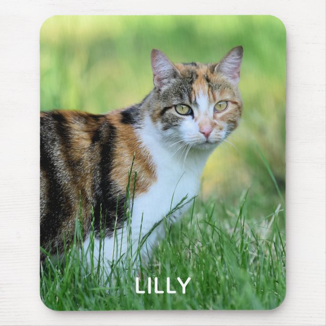 Mousepad Gato marrom e branco (Frente)