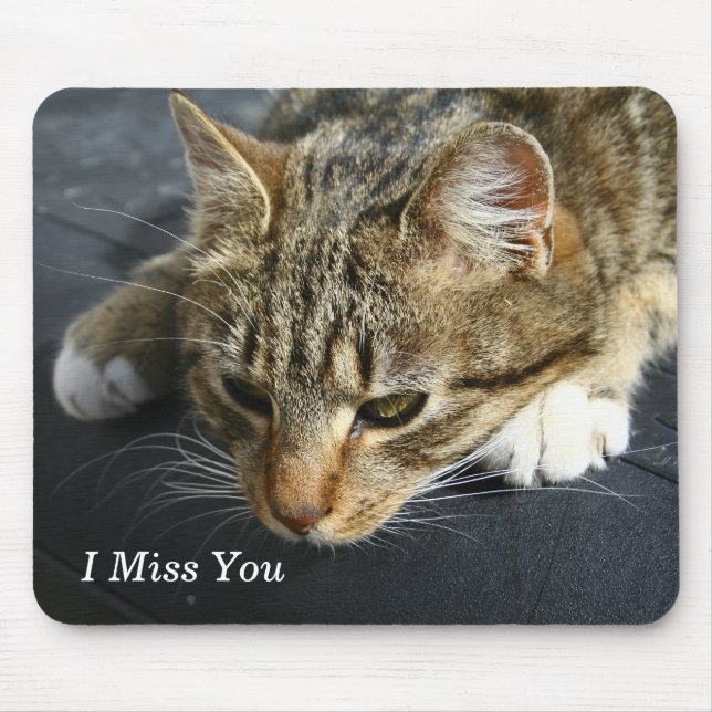 Mousepad [Gato melancólico] senhorita Você de I (Frente)