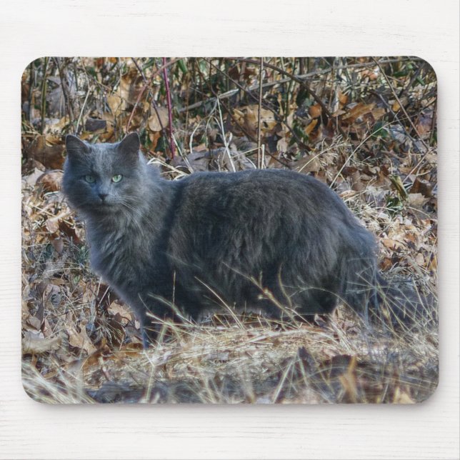 Mousepad Gato na floresta (Frente)