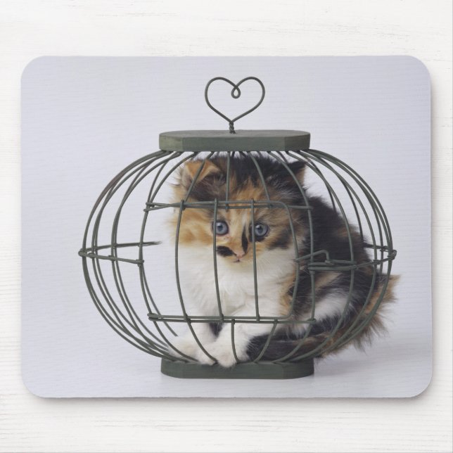 Mousepad Gato na gaiola (Frente)