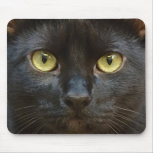 Mousepad Gato negro