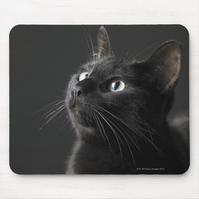 Mousepad Gato negro contra fundo preto, close-up (Frente)