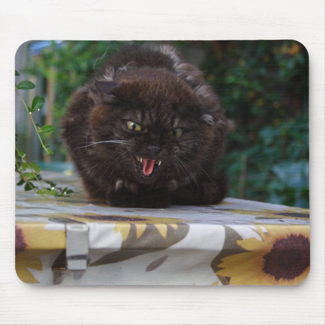 Mousepad Gato Negro Irritado (Frente)