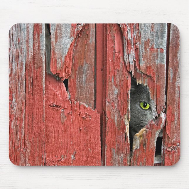 Mousepad Gato no buraco da madeira de celeiro (Frente)