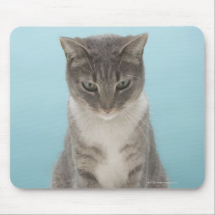 Mousepad Gato olhando o rato de brinquedo no tapete
