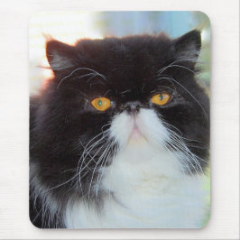 Mousepad Gato Persa