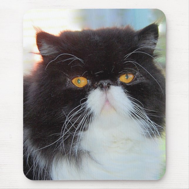 Mousepad Gato Persa (Frente)