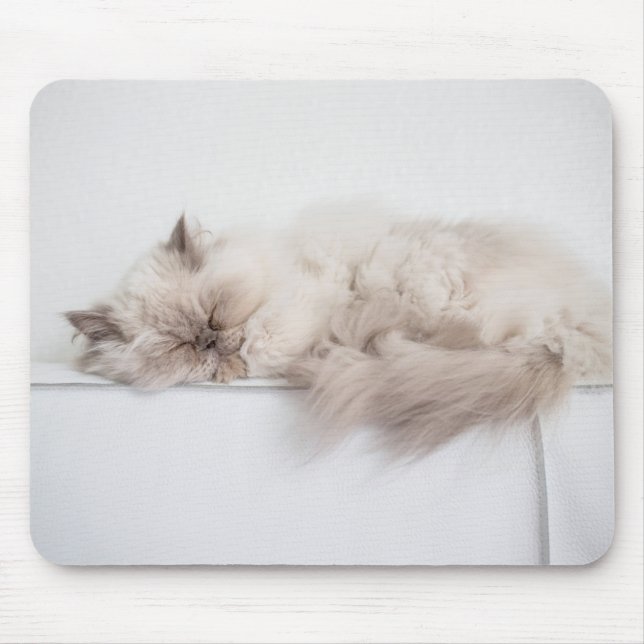 Mousepad Gato persa (Frente)