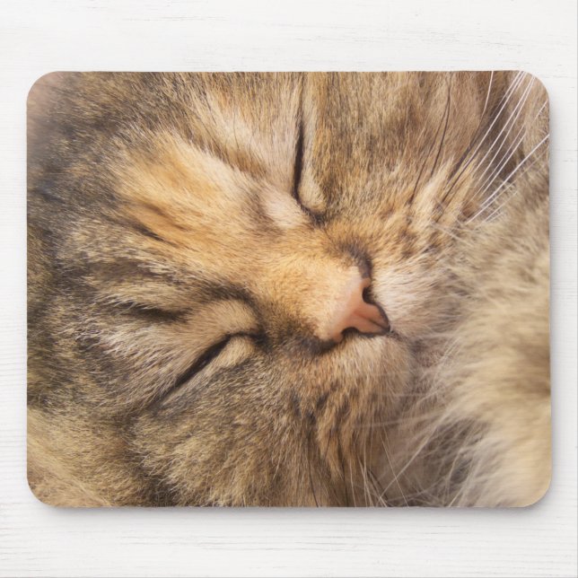 Mousepad Gato persa adormecido (Frente)