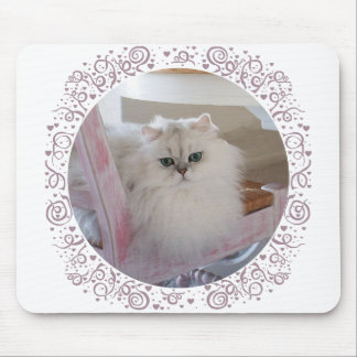 Mousepad Gato Persa Branco numa Cadeira Rosa