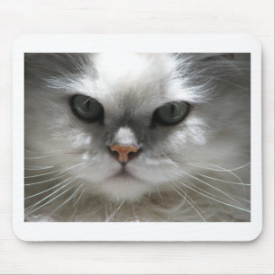 Mousepad Gato persa da chinchila