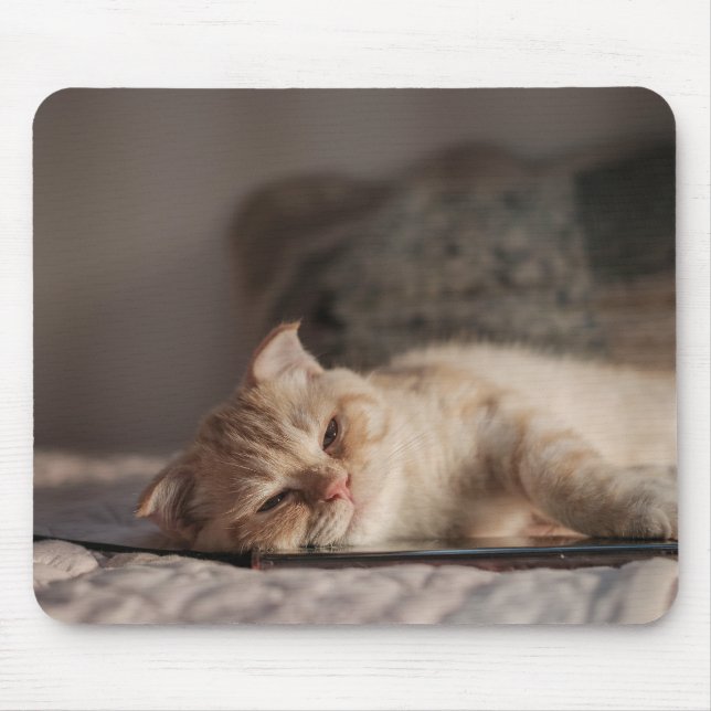 Mousepad Gato, Pet, Gatinho (Frente)