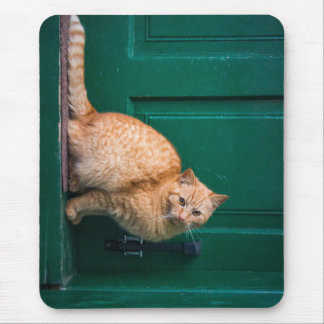 Mousepad gato, porta da frente, animal de estimação