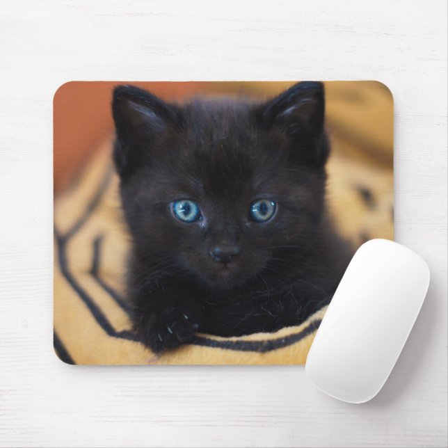 Mousepad gato preto (Com mouse)
